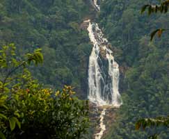 Honeymoon Tour To Wayanad