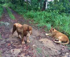 Tour To Wayanad