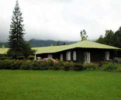 Tour Package In Wayanad
