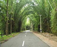 Wayanad Tourism