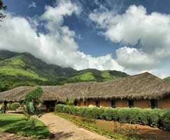 Wayanad Package Tour