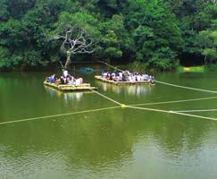 Wayanad Tourism Honeymoon