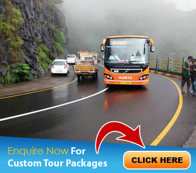 Wayanad Tour Packages